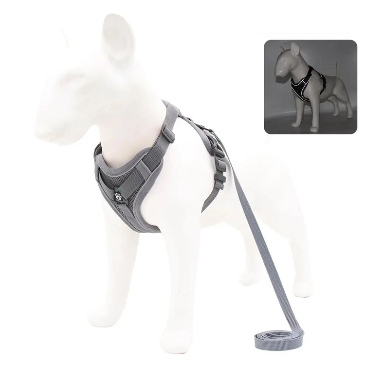 Dog Harness with 1.5M Traction Leash Set No Pull Dog Vest Strap Adjustable Reflective Breathable Harness for Dogs Puppy and Cats