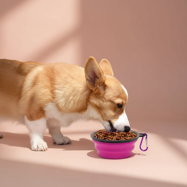 Collapsible Dog Bowl Set of 2 – Portable Travel Water & Food Dish for Dogs & Cats, Foldable with Carabiner Clip, Green & Purple