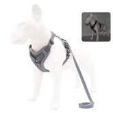 Dog Harness with 1.5M Traction Leash Set No Pull Dog Vest Strap Adjustable Reflective Breathable Harness for Dogs Puppy and Cats