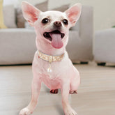 Rhinestone Pet Collar – Premium PU Leather Bling Collar with Pendant for Small & Medium Dogs & Cats, Adjustable, Gold