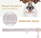 Rhinestone Pet Collar – Premium PU Leather Bling Collar with Pendant for Small & Medium Dogs & Cats, Adjustable, Gold