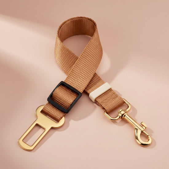 Dog Car Seat Belt

Adjustable Dog Seat Belt

Dog Car Safety Belt

Puppy Car Seat Belt

Dog Travel Belt

Durable Dog Seat Belt

Dog Car Restraint

Car Safety Belt for Dogs

Breakaway Dog Car Seat Belt

Breakaway Pet Seat Belt

Pet Car Safety Harness

Dog Travel Safety Belt

Dog Vehicle Restraint

Adjustable Pet Car Belt

Secure Dog Car Harness

Pet Vehicle Safety Strap

Dog Safety Harness for Car

Pet Travel Seat Belt

Dog Car Accessories

Universal Dog Car Seat Belt.
