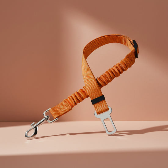 Elastic Dog Car Seat Belt

Adjustable Dog Seat Belt

Dog Car Safety Belt

Pet Car Seat Belt

Dog Travel Safety Harnes

Dog Seat Belt for Car

Elastic Pet Seat Belt

Dog Vehicle Safety Strap

Dog Car Safety Harness

Puppy Car Seat Belt

Durable Dog Seat Belt

Dog Travel Belt

Pet Safety Restraint

Dog Car Restraint

Shock Absorbing Dog Seat Belt

Dog Seat Belt Leash

Car Safety Belt for Dogs

Secure Dog Travel Harness

Dog Car Travel Accessories