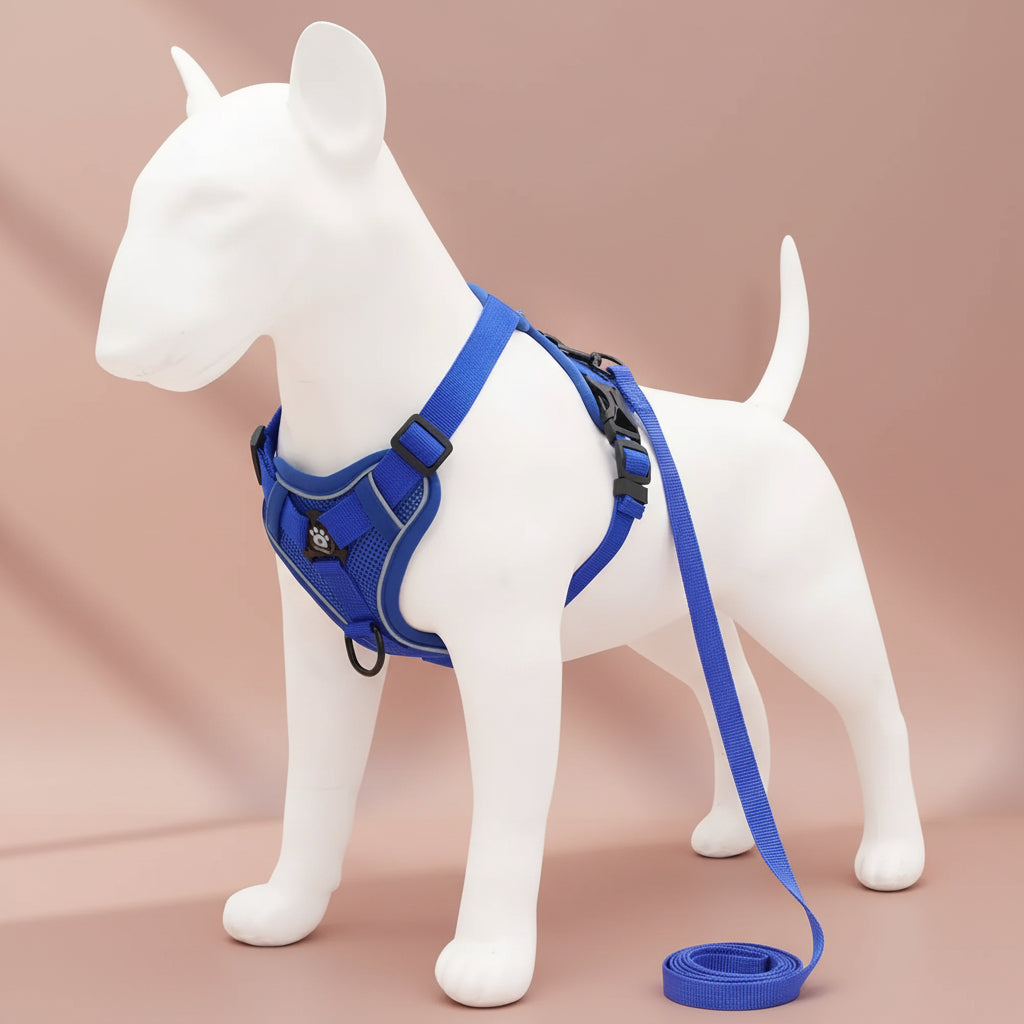 No-Pull Dog Harness and Leash Set

No-Pull Dog Harness

Dog Harness and Leash Set

Adjustable Dog Harness

Anti-Pull Dog Harness

Reflective Dog Harness

Comfortable Dog Walking Harness

Escape Proof Dog Harness

Puppy Harness and Leash

Small Dog Harness

Medium Dog Harness

Large Dog Harness

Durable Dog Leash Set

Dog Training Harness

Pet Walking Harness

Secure Dog Harness

Breathable Dog Harness

Dog Control Harness

Everyday Dog Walking Set

Dog Harness with Leash.