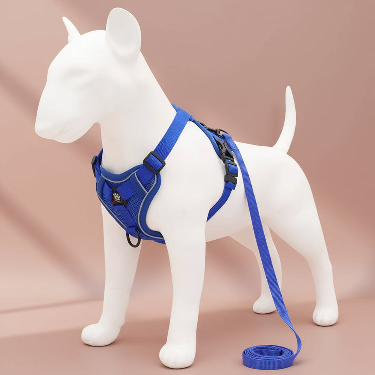 No-Pull Dog Harness and Leash Set

No-Pull Dog Harness

Dog Harness and Leash Set

Adjustable Dog Harness

Anti-Pull Dog Harness

Reflective Dog Harness

Comfortable Dog Walking Harness

Escape Proof Dog Harness

Puppy Harness and Leash

Small Dog Harness

Medium Dog Harness

Large Dog Harness

Durable Dog Leash Set

Dog Training Harness

Pet Walking Harness

Secure Dog Harness

Breathable Dog Harness

Dog Control Harness

Everyday Dog Walking Set

Dog Harness with Leash.