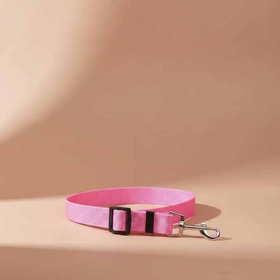 Pet Car Seat Belt

Dog Travel Belt

Puppy Car Seat Belt

Dog Car Restraint

Universal Pet Car Seat Belt

Dog Car Seat Belt

Cat Car Seat Belt

Adjustable Pet Seat Belt

Dog Safety Belt

Pet Travel Safety Belt

Car Safety Harness for Dogs

Pet Vehicle Restraint

Adjustable Dog Car Harness

Pet Car Safety Strap

Secure Dog Seat Belt

Pet Travel Harness

Vehicle Safety Belt for Pets

Durable Pet Seat Belt

Elastic Pet Car Belt

Pet Car Travel Accessories.
