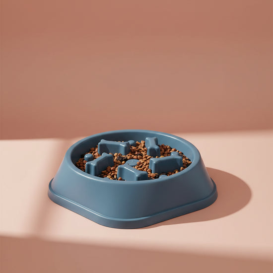 Slow Feeder Dog Bowl — Anti-Gulping, Large