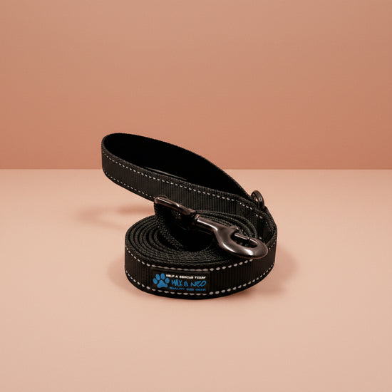 Small Dog Reflective Nylon Leash - Donate a Leash to Dog Rescue for Each Sold (Black, 4X5/8)