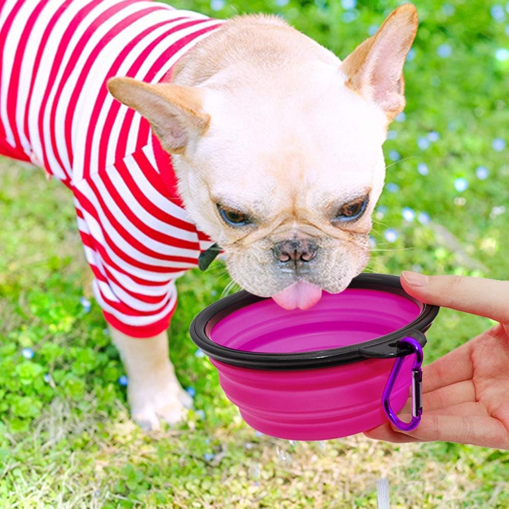 Collapsible Dog Bowl Set of 2 – Portable Travel Water & Food Dish for Dogs & Cats, Foldable with Carabiner Clip, Green & Purple