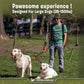 Dual Dog Leash for Two Dogs – No-Tangle Hands-Free Double Leash for Large Dogs, Running & Walking, Black & Red