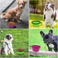Collapsible Dog Bowl Set of 2 – Portable Travel Water & Food Dish for Dogs & Cats, Foldable with Carabiner Clip, Green & Purple